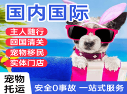 中川航空快递国际宠物托运 【国